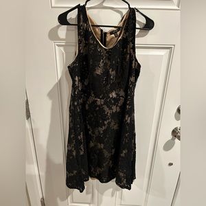 APT. 9, Size 16 W, Black Lace Dress